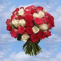 370244 903813659 1-bouquet-de-roses H121532 L